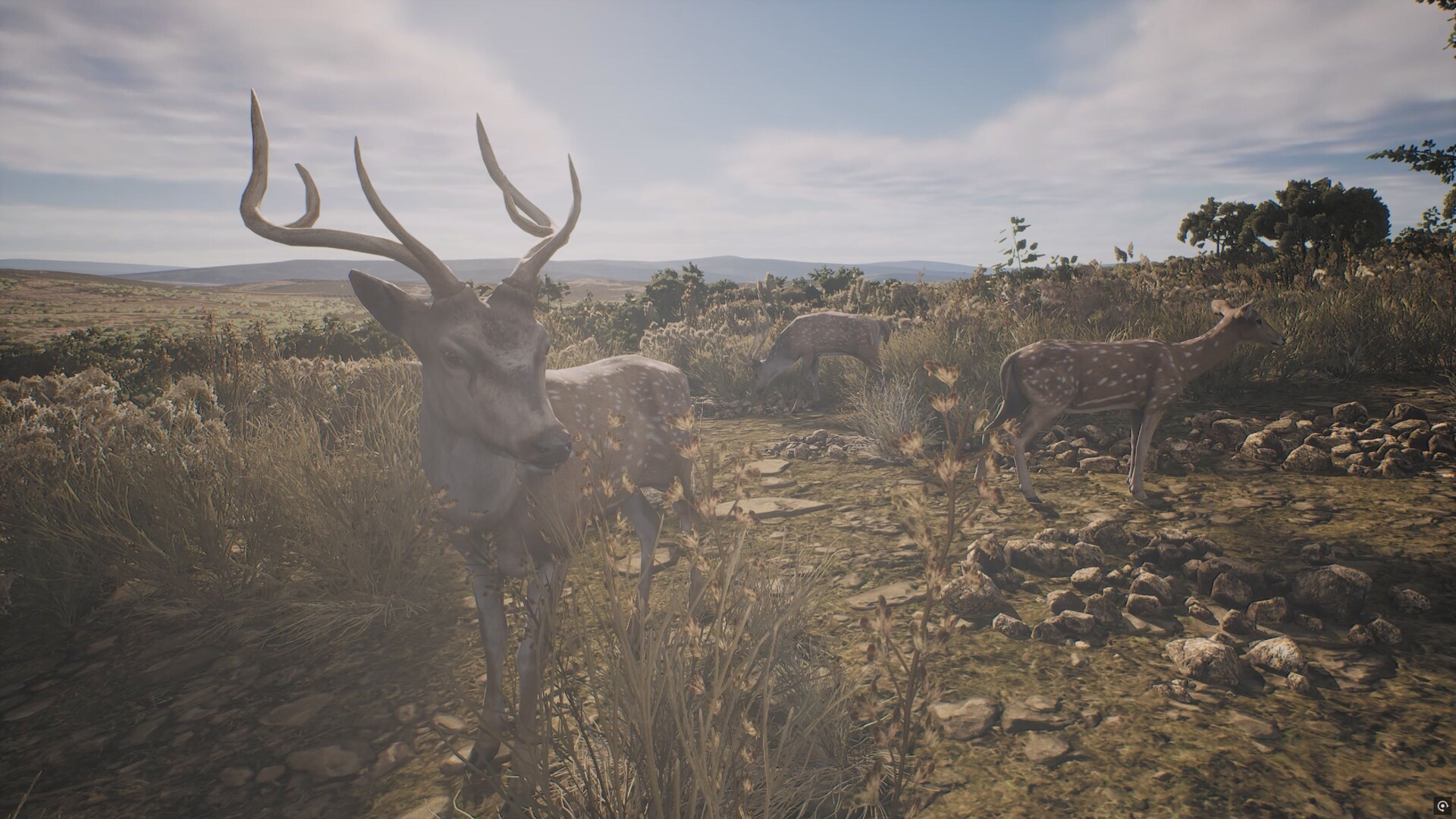 PROJECT HUNT - LONE STAR HUNTING RANCH screenshot