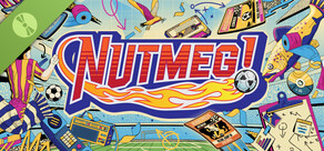 NUTMEG! A Retro Football Management Game Demo