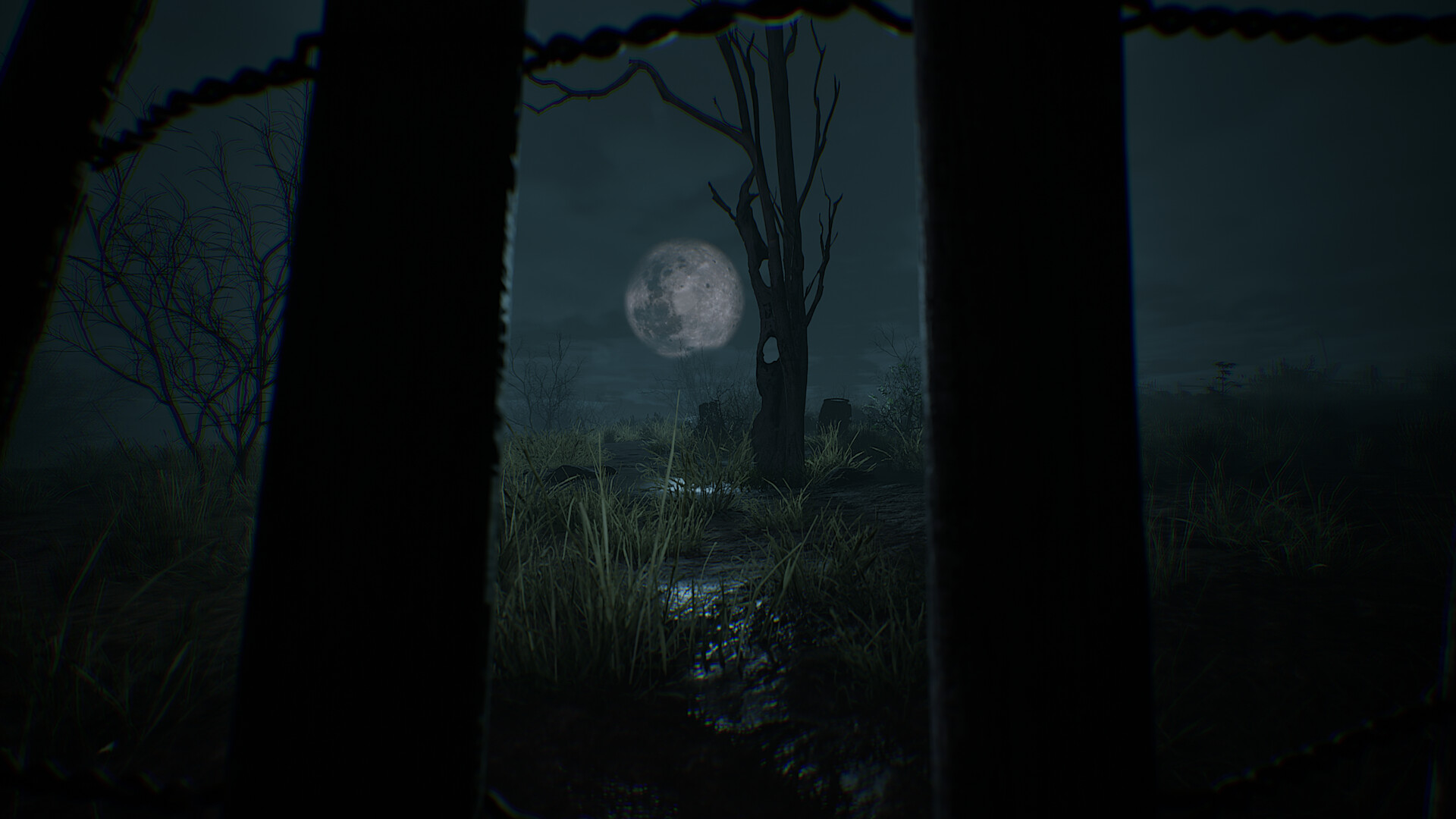 Pradera screenshot #14