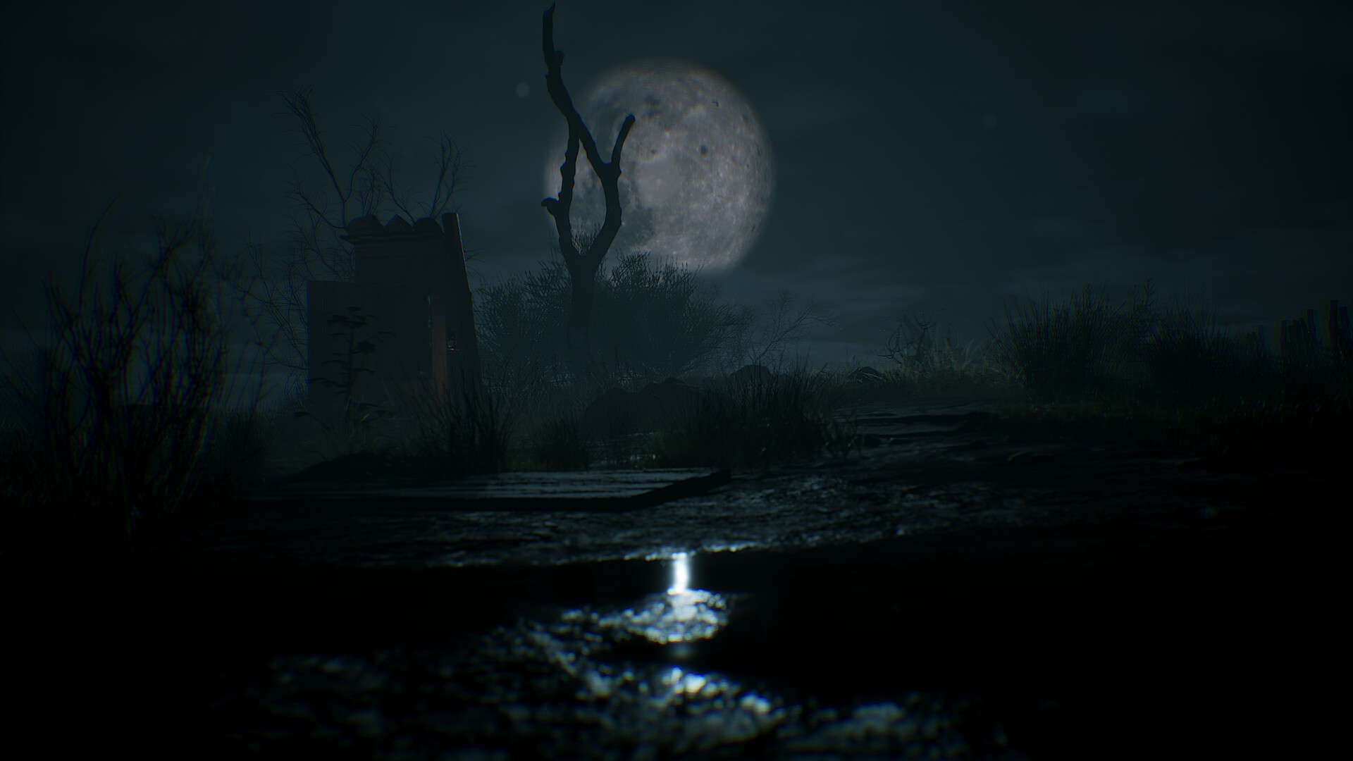 Pradera screenshot #8