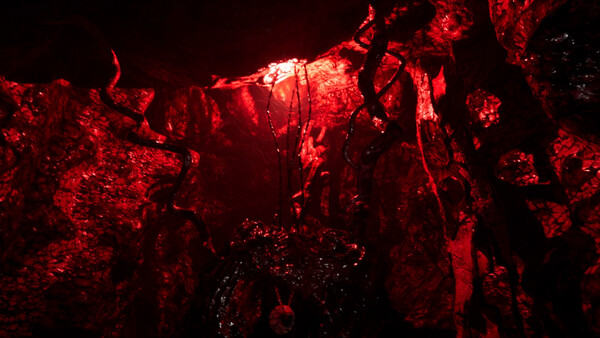 AVRILfor windows and Linux 1