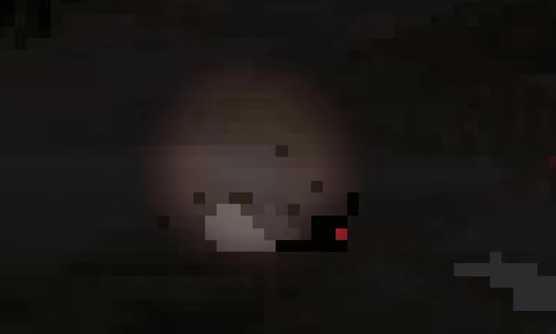 Beeing video 1