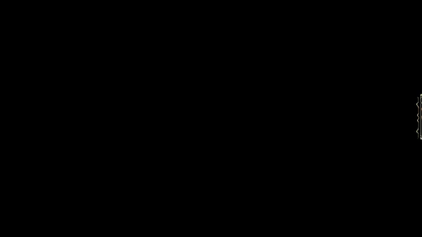 Beeing video 2