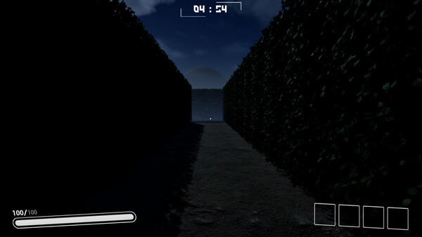 Rise In Borderlandfor windows and Linux 1