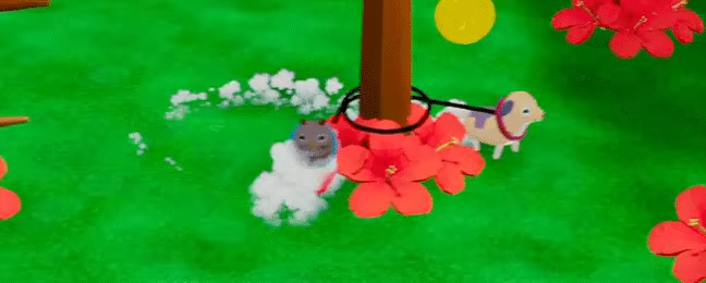 MrDogCat video 1