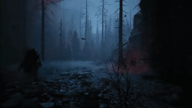 Lucid Falls video 2
