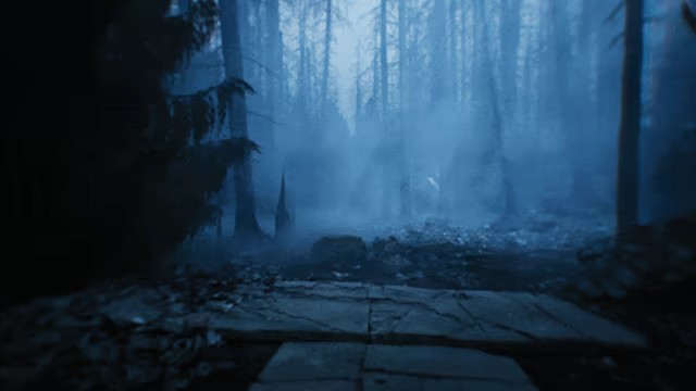Lucid Falls video 3