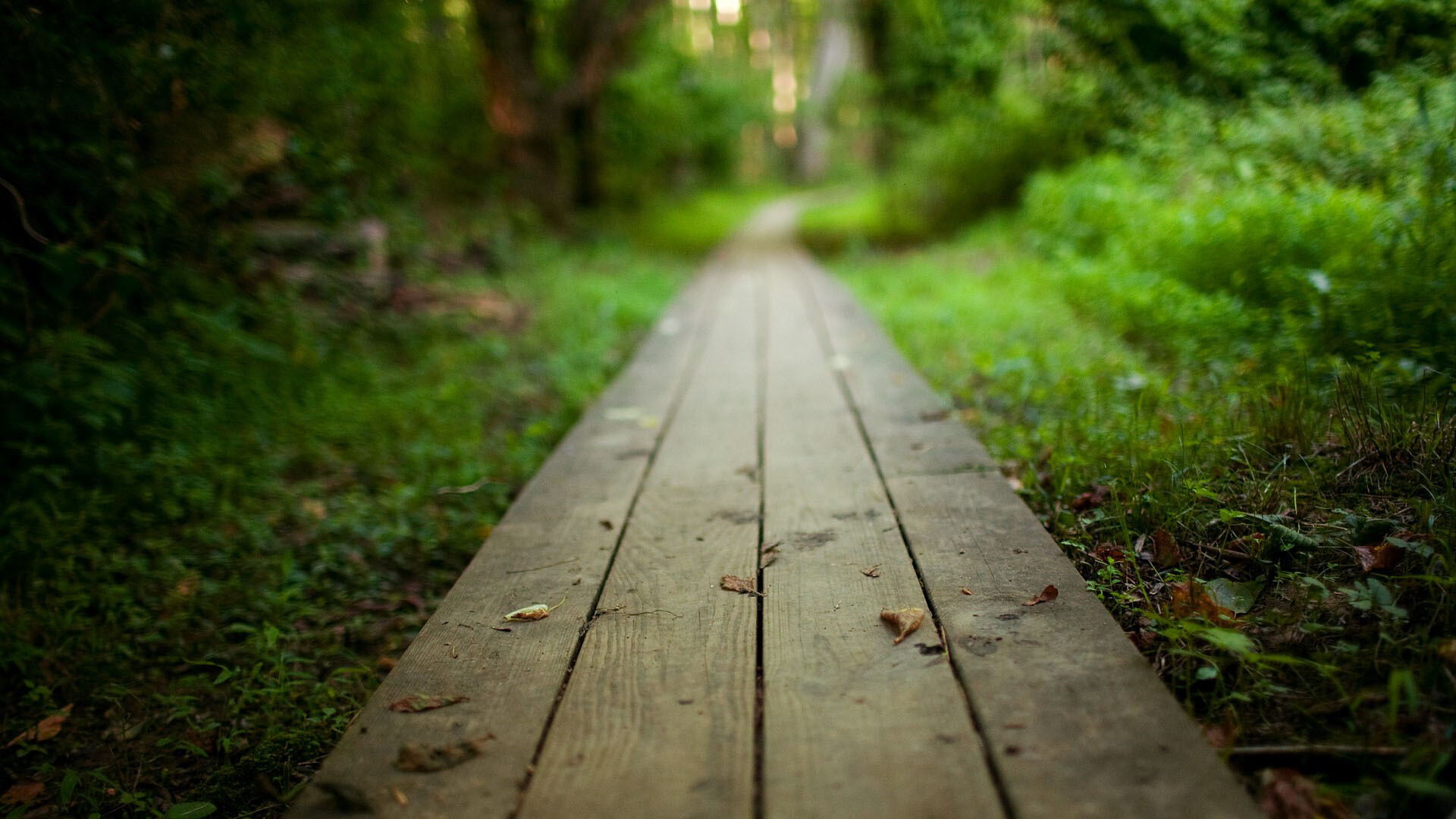 My Ex-Future Family Season 2: Walkthrough Featured Screenshot #1