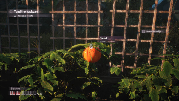 Fractured Blooms Demo