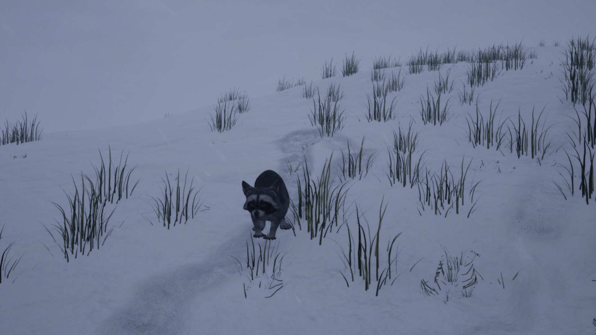 Screenshot: beach with washed-up trash
