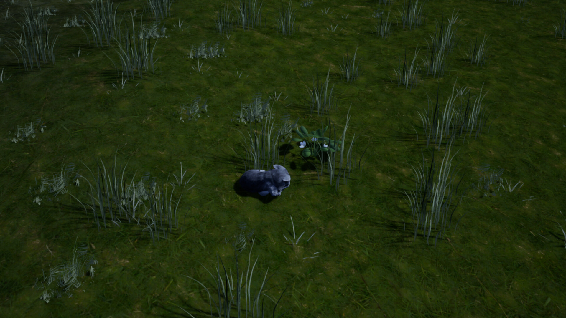 Screenshot: island vista