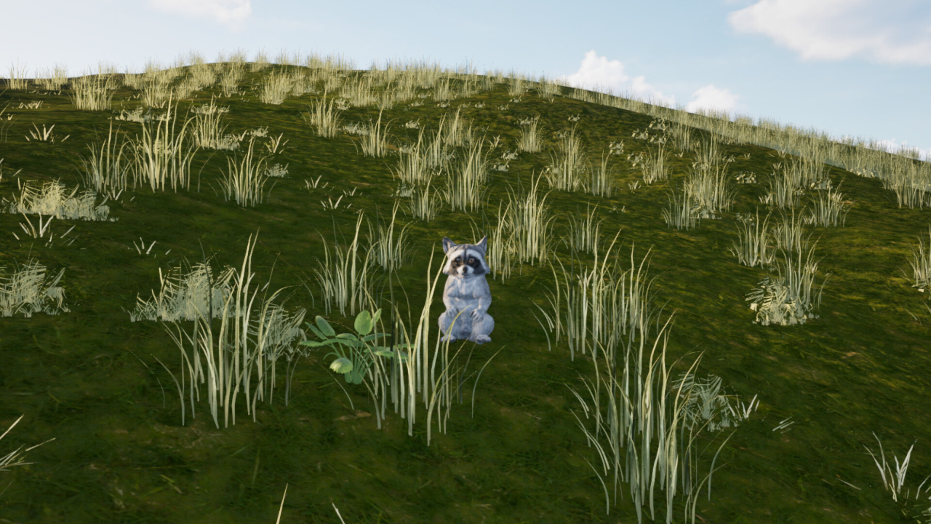 Screenshot: forest exploration