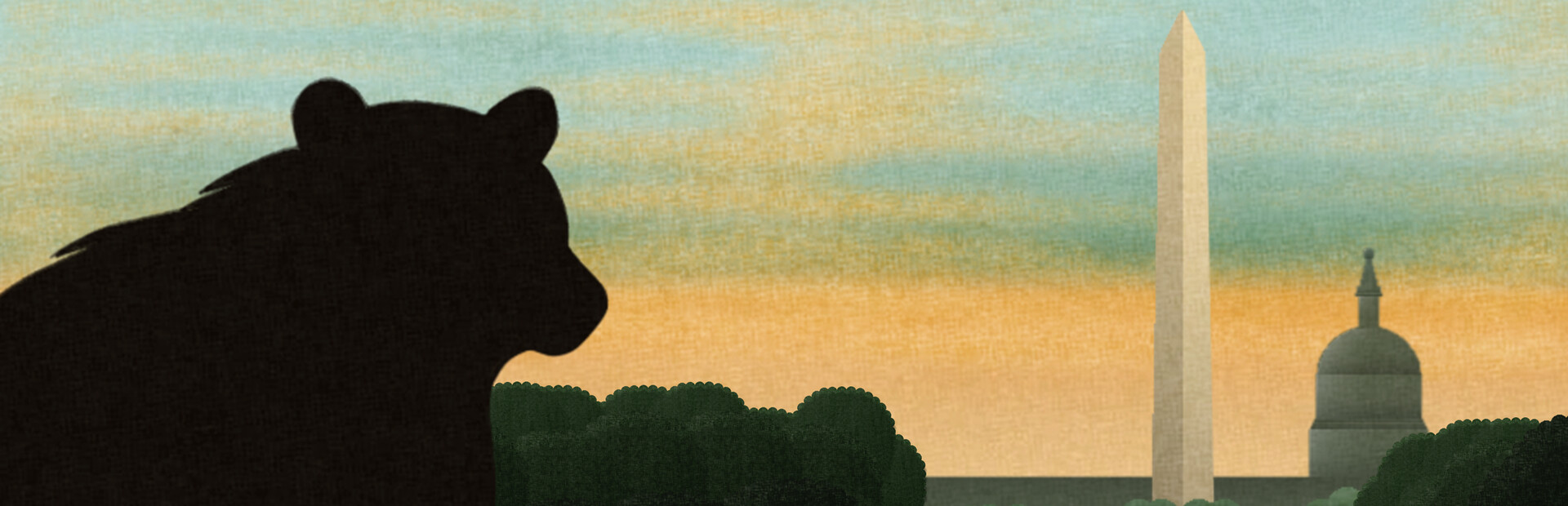 Mr Bear Goes to Washington