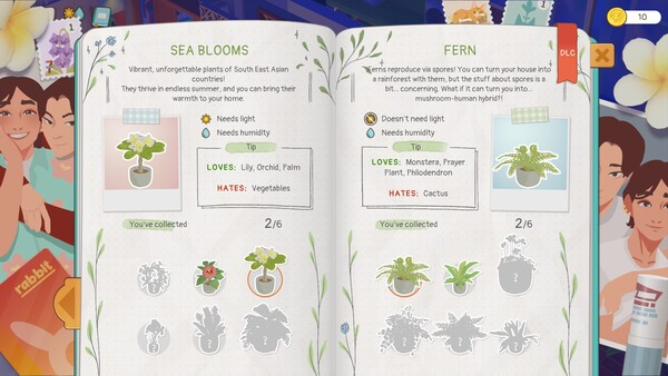 Urban Jungle: Brother's Wedding Story