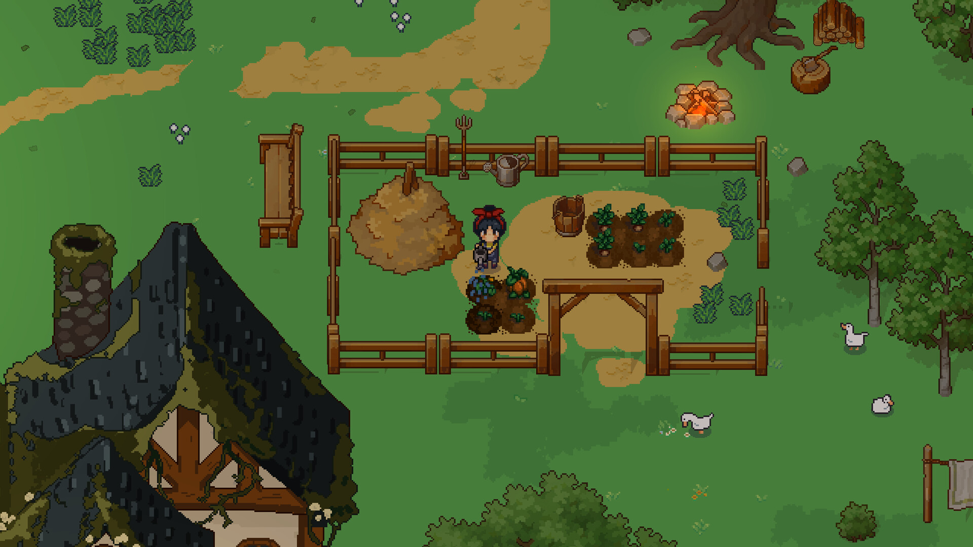 Everbrew screenshot #3