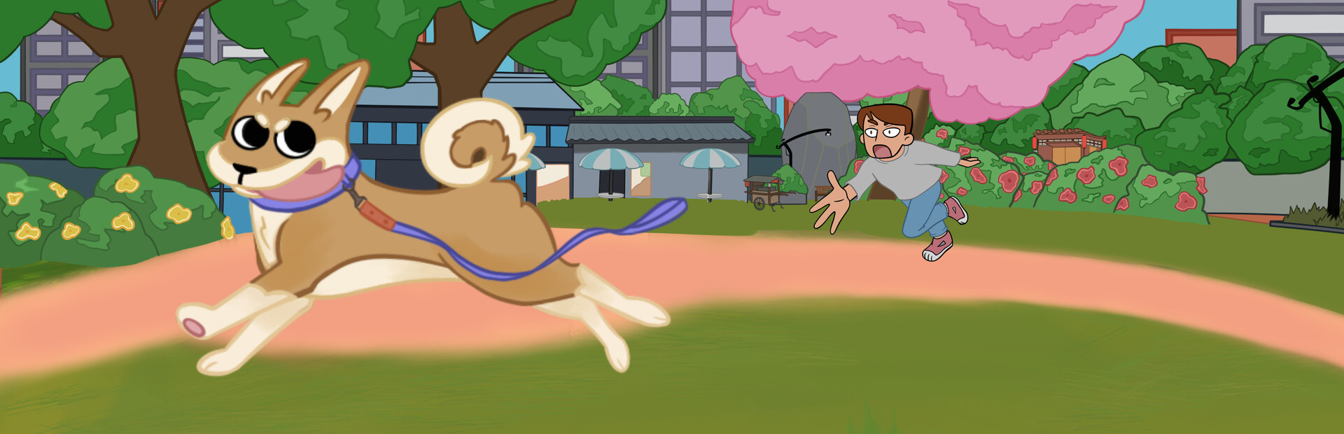 Run Shiba Run!