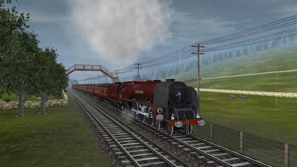 TANE DLC: Duchess