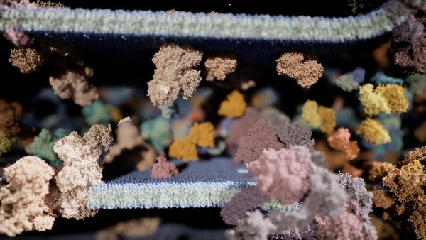 Meowtabolism - Examining Feline Behavior within Unicellular Algae screenshot 2