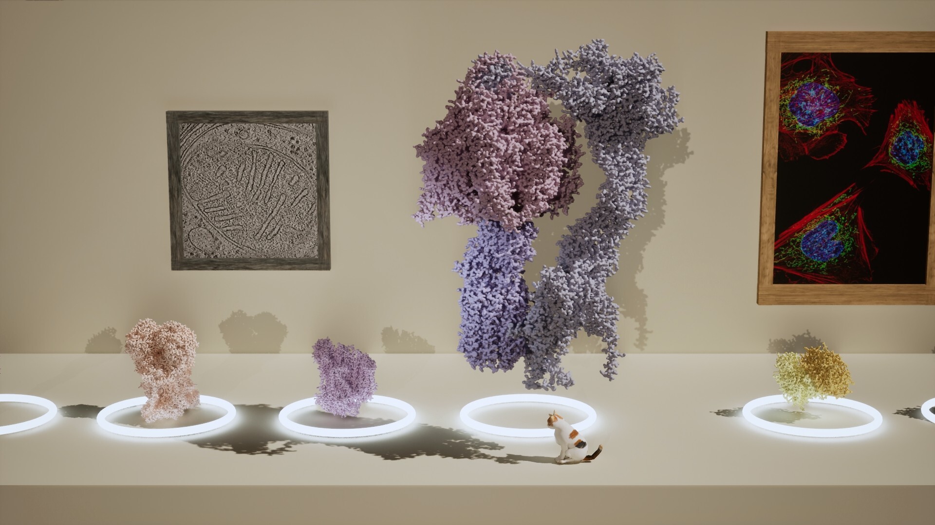 Meowtabolism - Examining Feline Behavior within Unicellular Algae screenshot #7