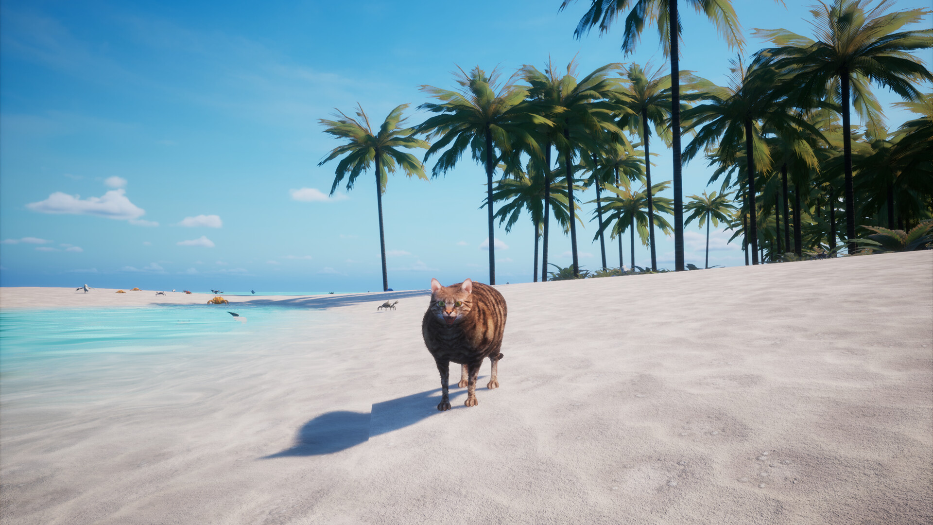 Chonky Cat screenshot #5