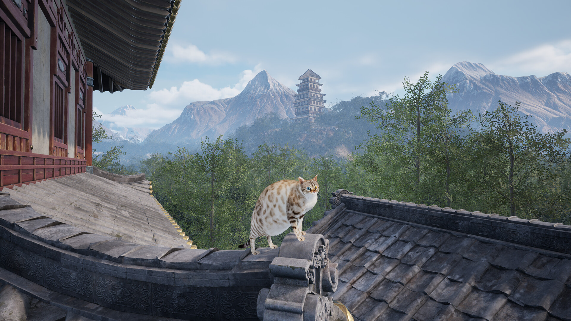 Chonky Cat screenshot #4