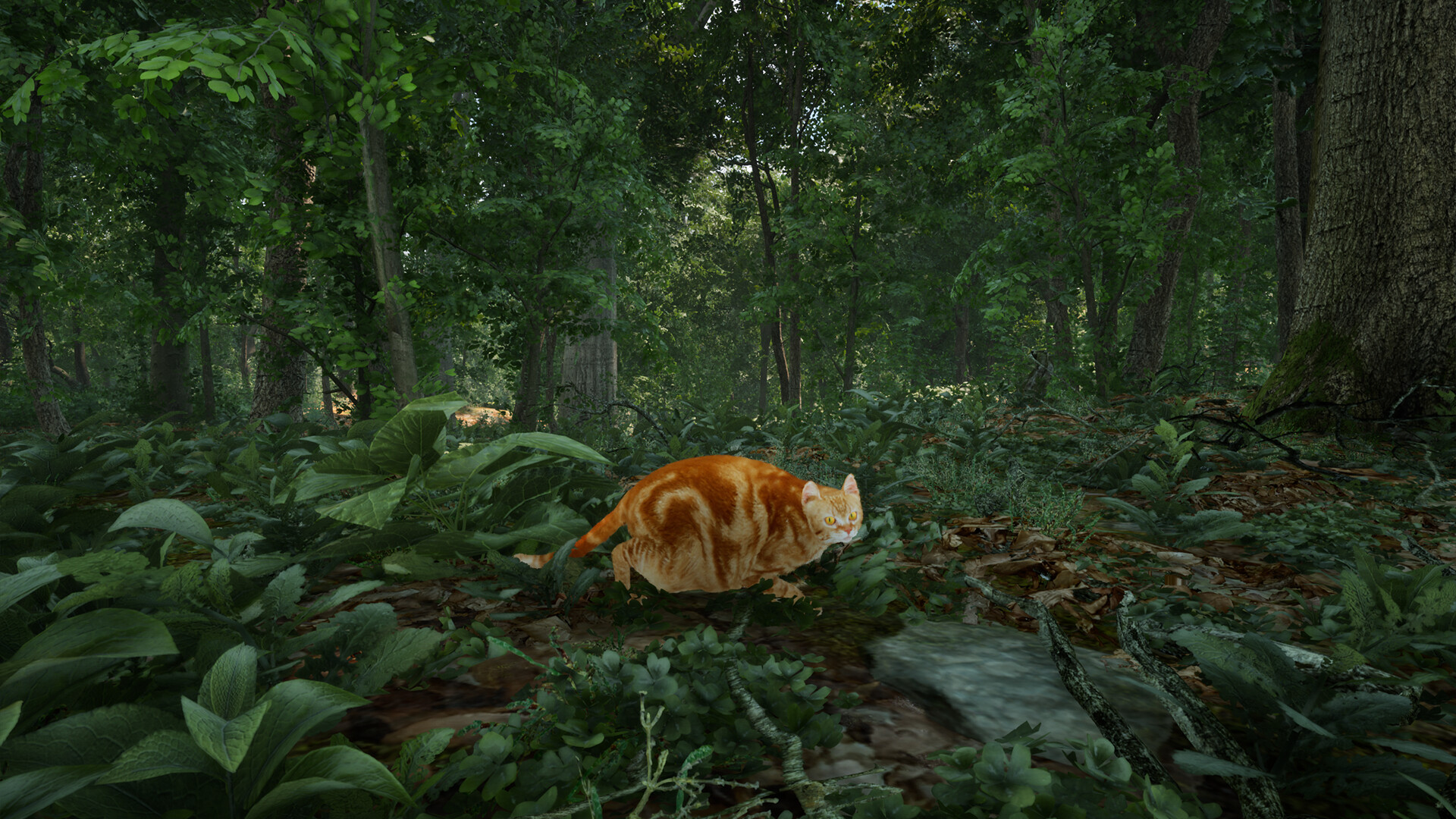 Chonky Cat screenshot #3