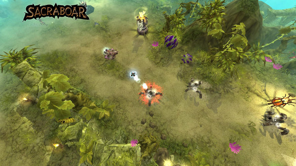 Screenshot z Sacraboar