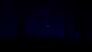 88 NIGHTS IN THE FOREST video 5
