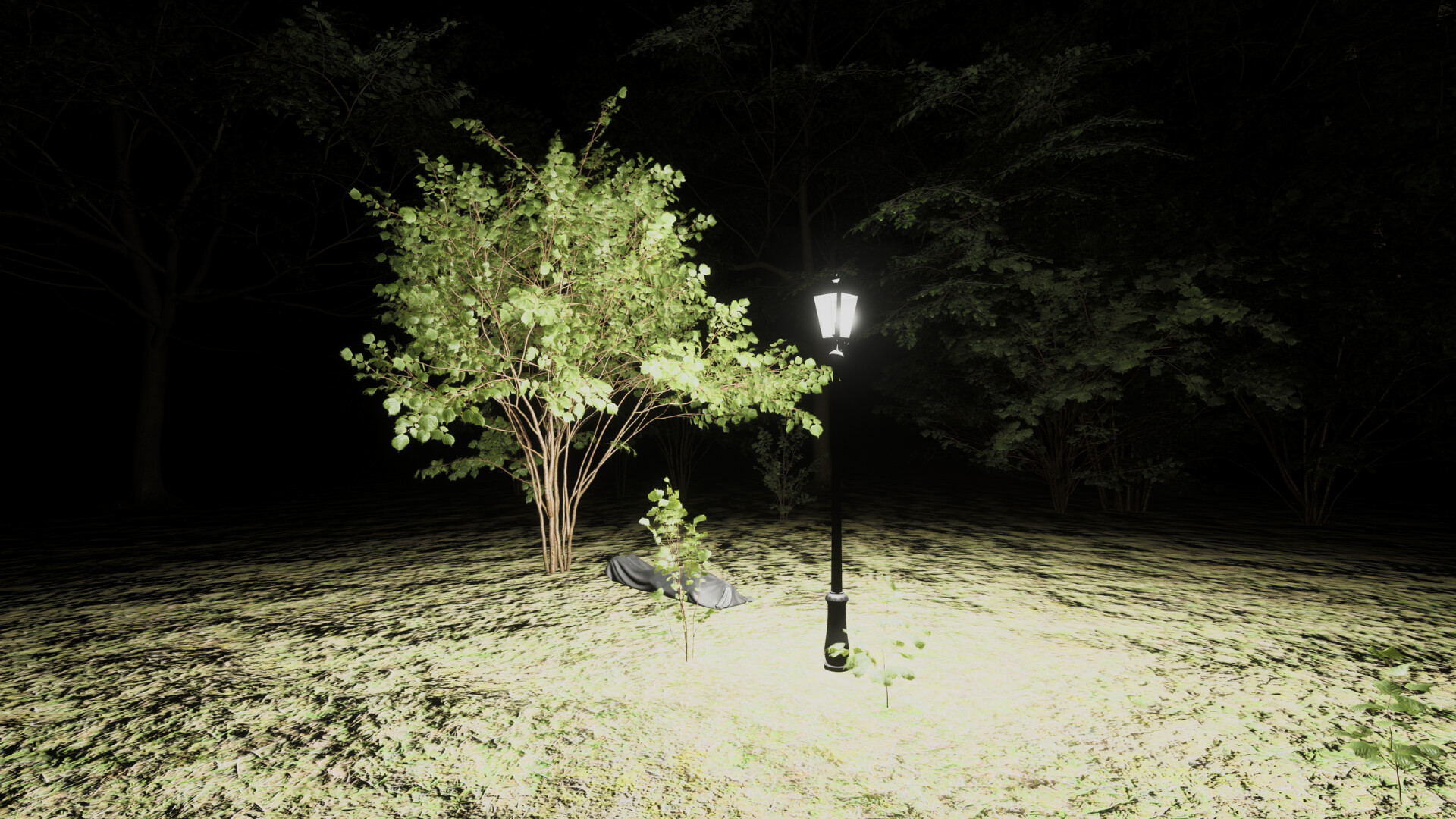 Forest of Fear - Into the Woods screenshot #2