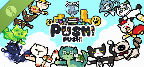 Push Push Demo