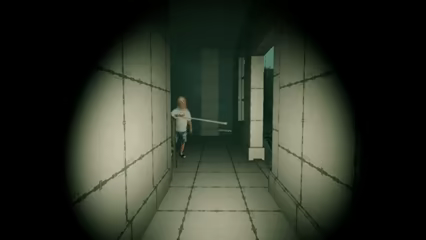 Snemovna video 2