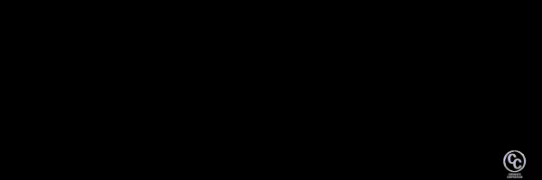 The Salesman video 5