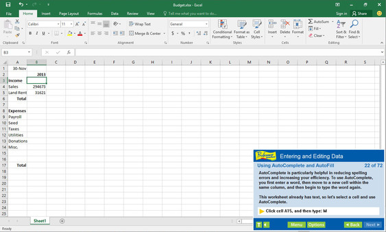 Professor Teaches Excel 2016