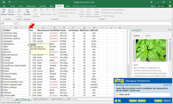 Professor Teaches Excel 2016