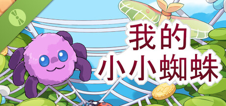 我的小小蜘蛛