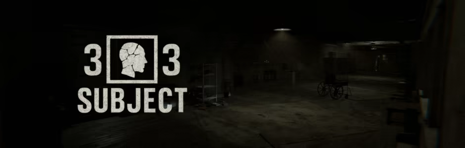 SUBJECT 33 video 3