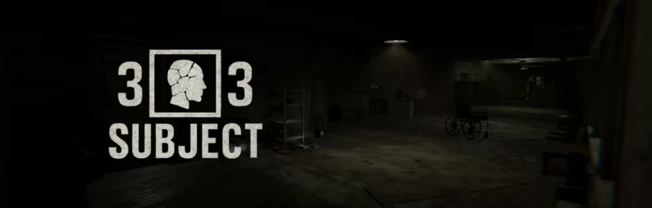 SUBJECT 33 video 2