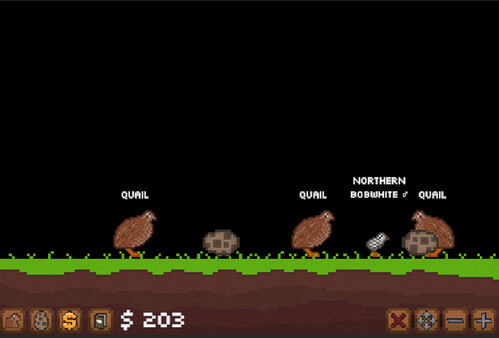 Quail Game game for Linux 1