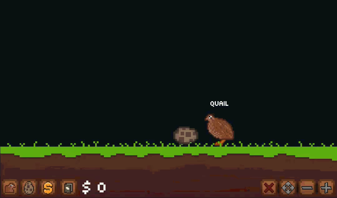 Quail Game video 2