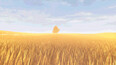 Screenshot #6