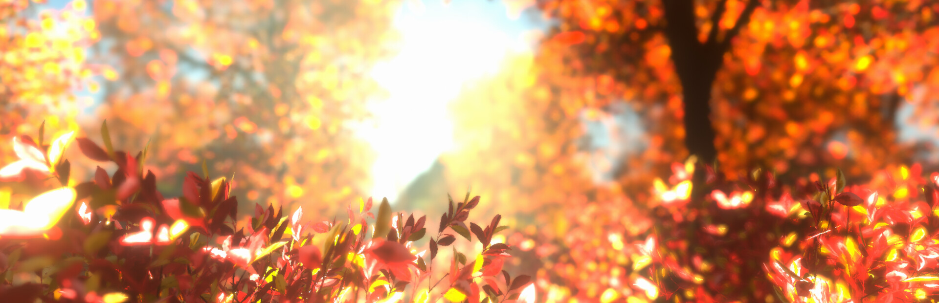 紅葉の泣き声