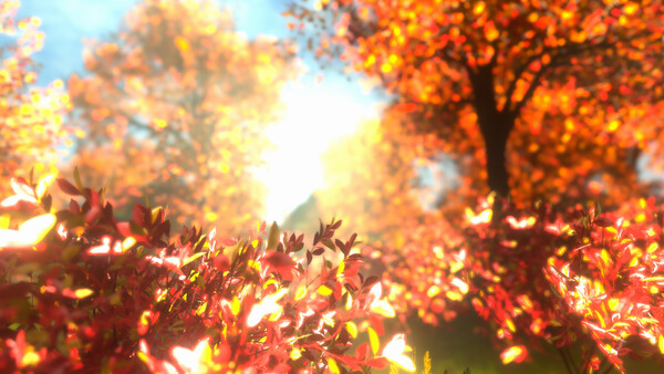 紅葉の泣き声
