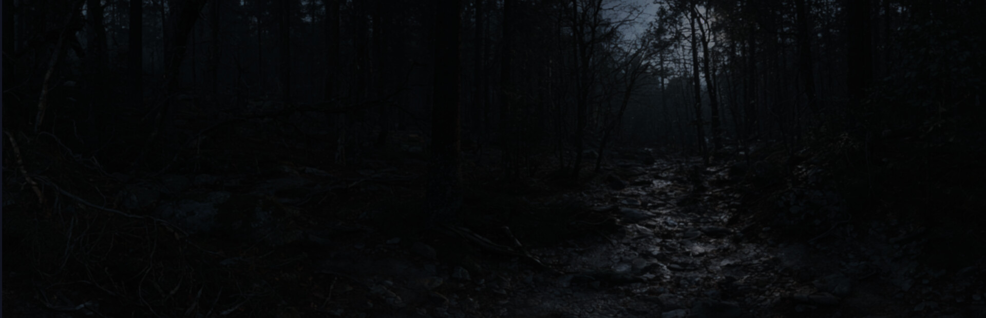 Sign of Silence: 99 Nights