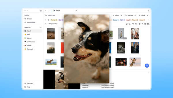 Spacer — Tag-based File Explorerfor windows and Linux 1