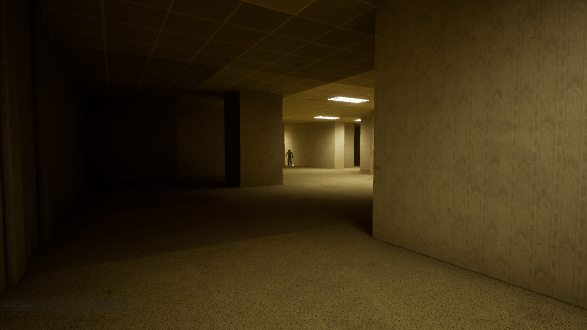 The Backrooms Deluxe 2 screenshot #1