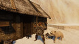 Screenshot #5