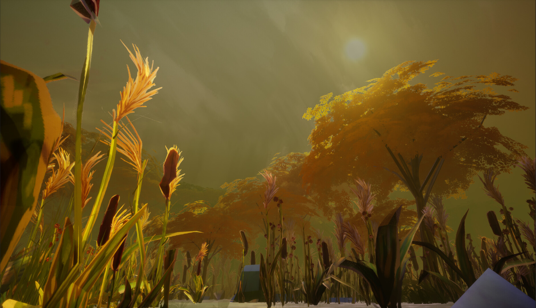 Wetland screenshot #3