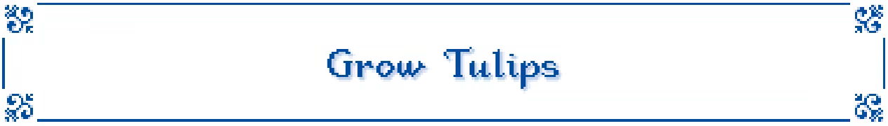 Tulip Season screenshot 2