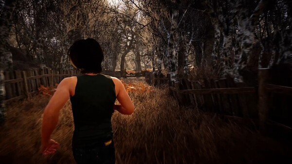 Lost Dreams Demo