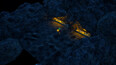 Screenshot #8